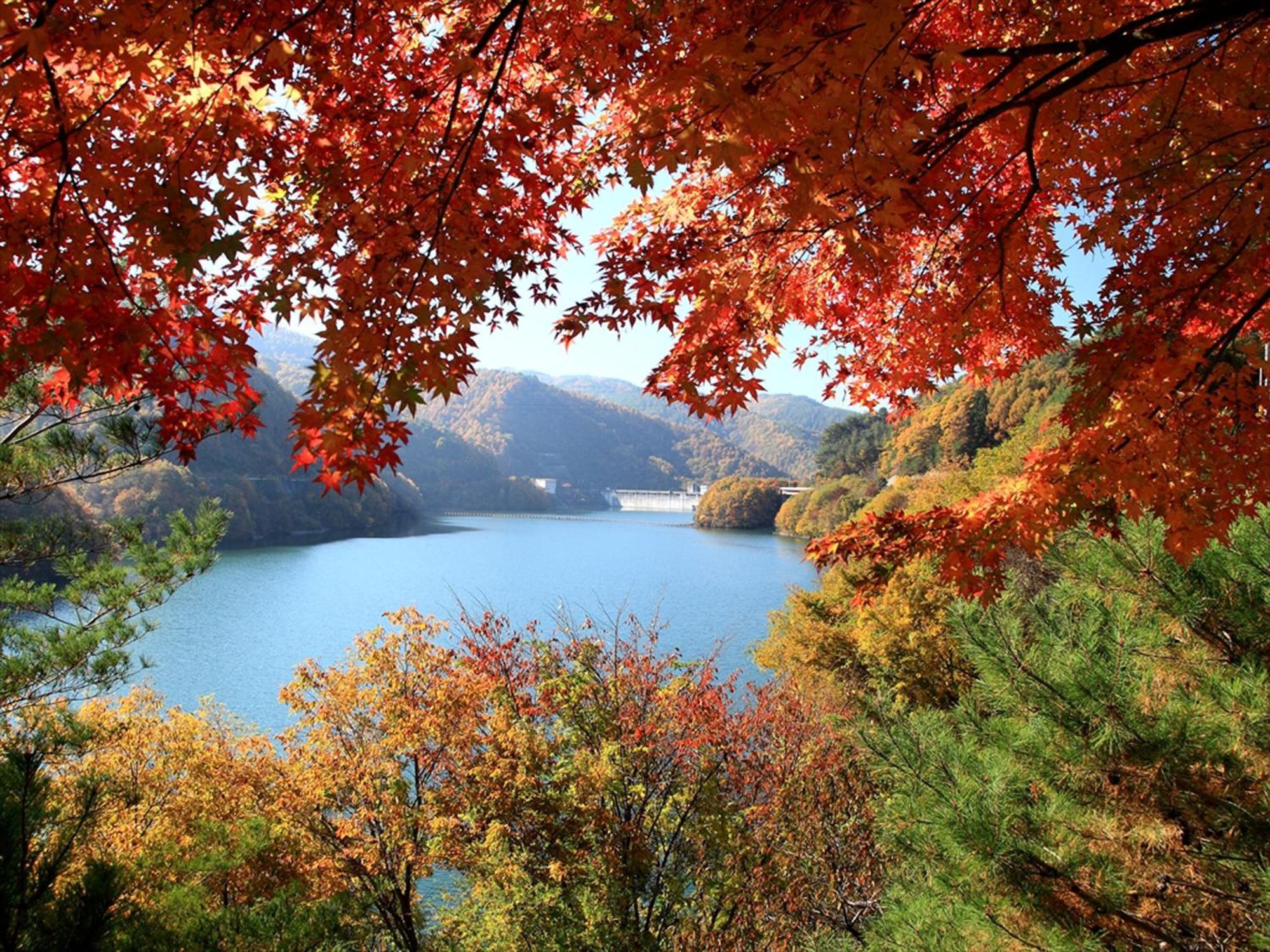 Yoshinotei Hotel Iida Bagian luar foto