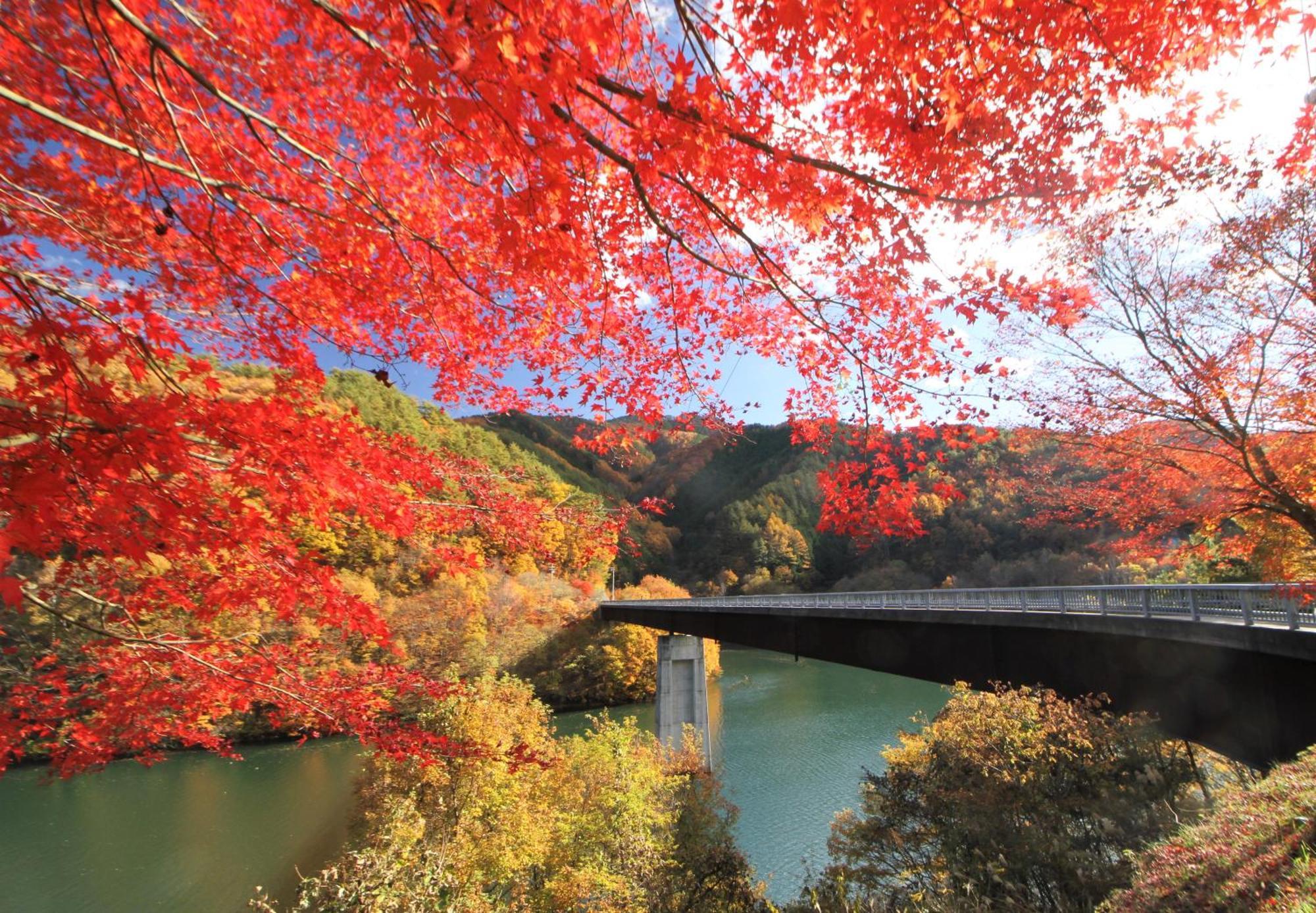 Yoshinotei Hotel Iida Bagian luar foto