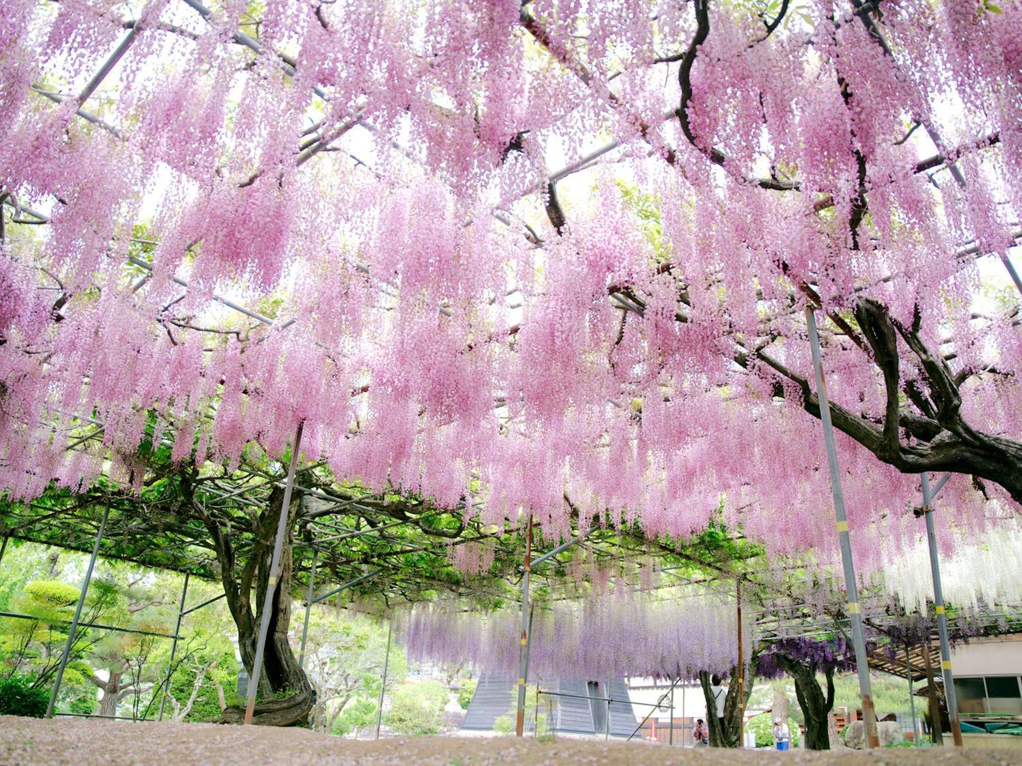 Yoshinotei Hotel Iida Bagian luar foto