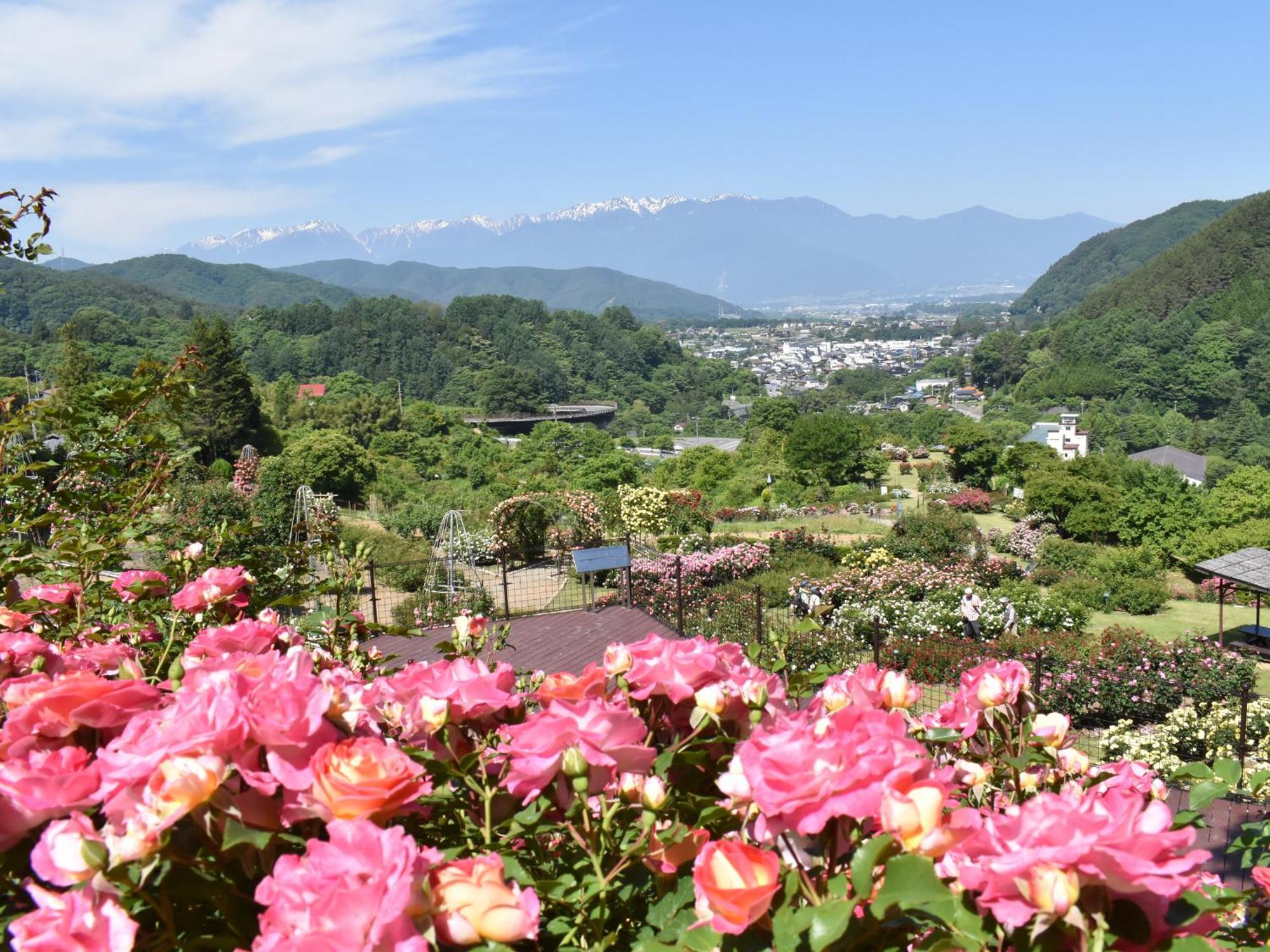 Yoshinotei Hotel Iida Bagian luar foto