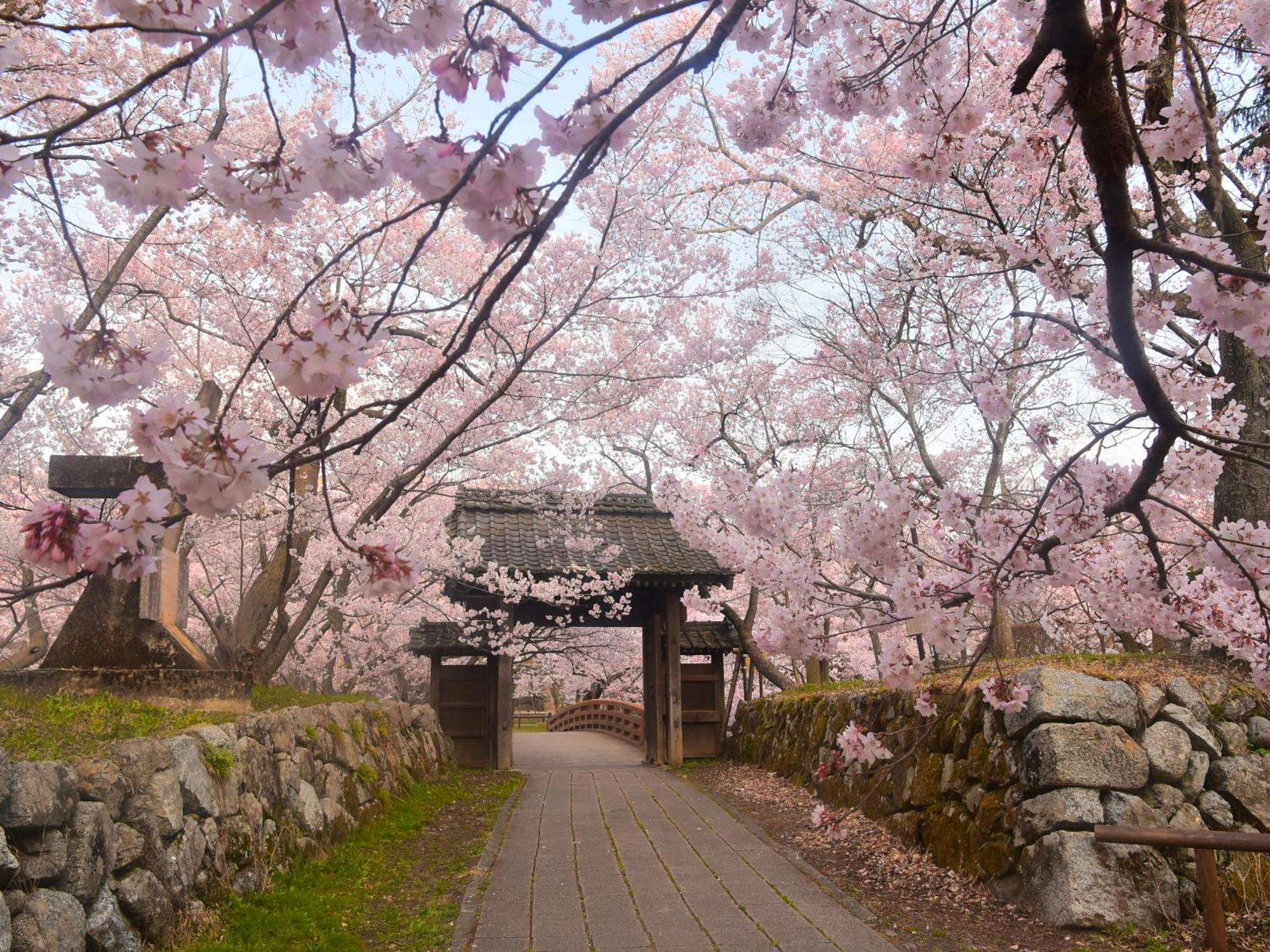 Yoshinotei Hotel Iida Bagian luar foto