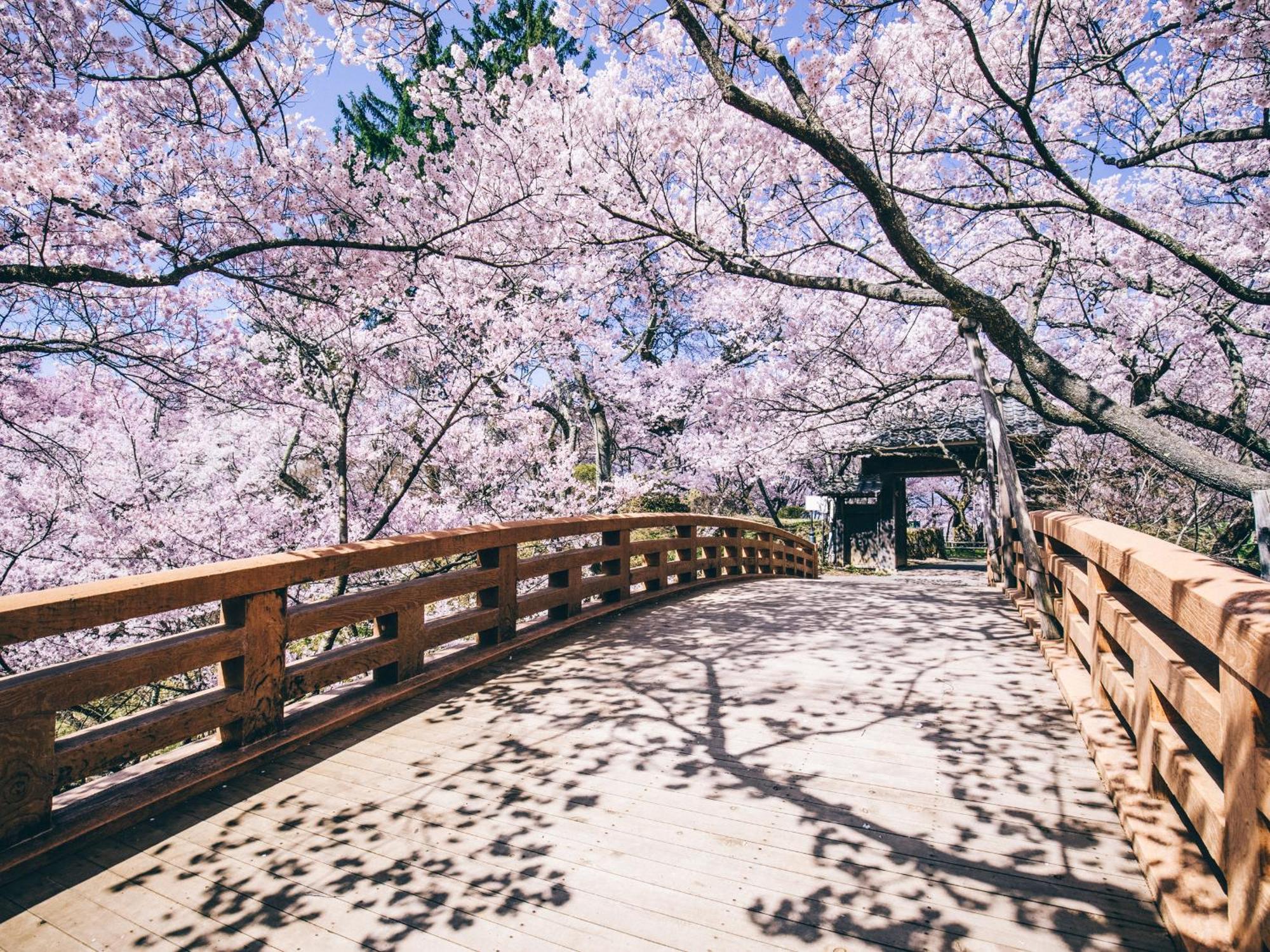 Yoshinotei Hotel Iida Bagian luar foto