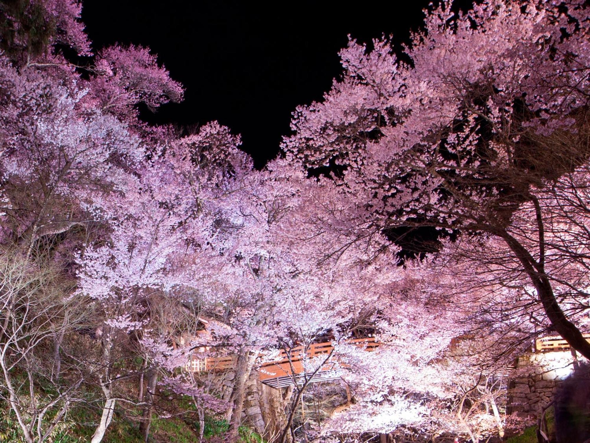 Yoshinotei Hotel Iida Bagian luar foto